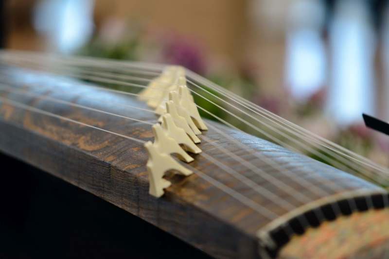 Japońska harfa Koto © Lexus